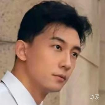 愿一生为你画眉