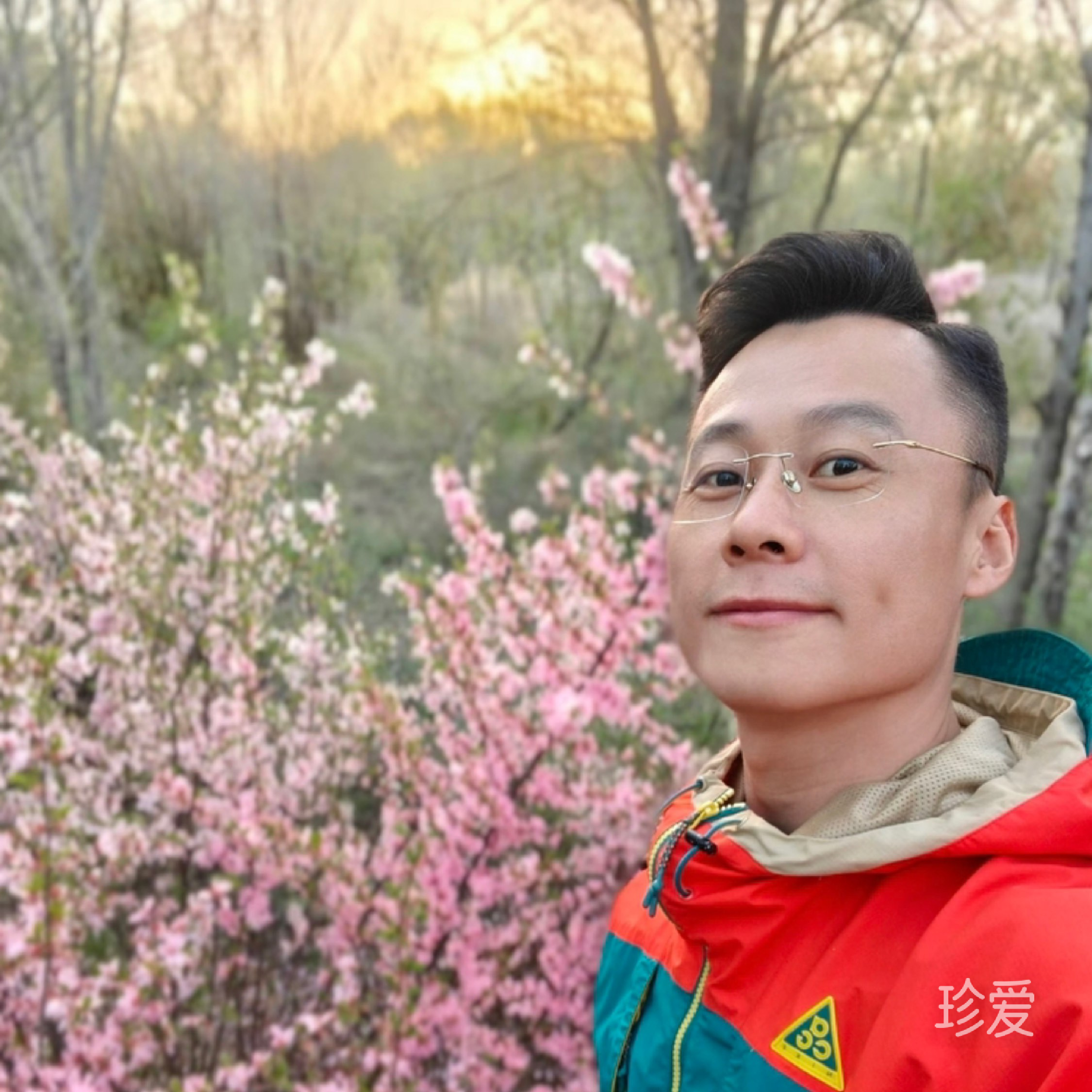 此生未尽
