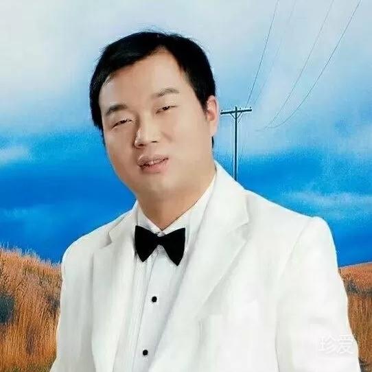 淡墨文竹