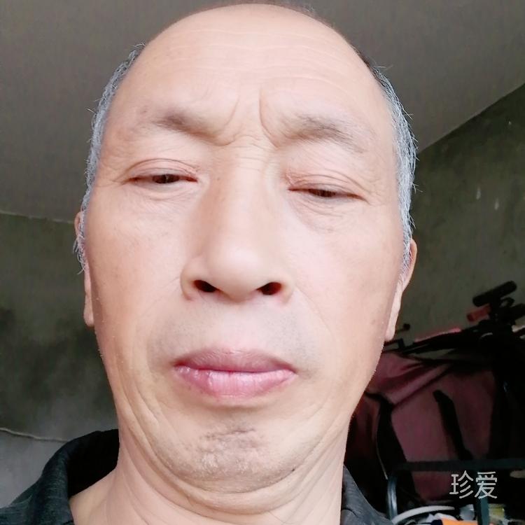 风里来雨里去丫