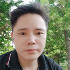 奔跑的螞蟻