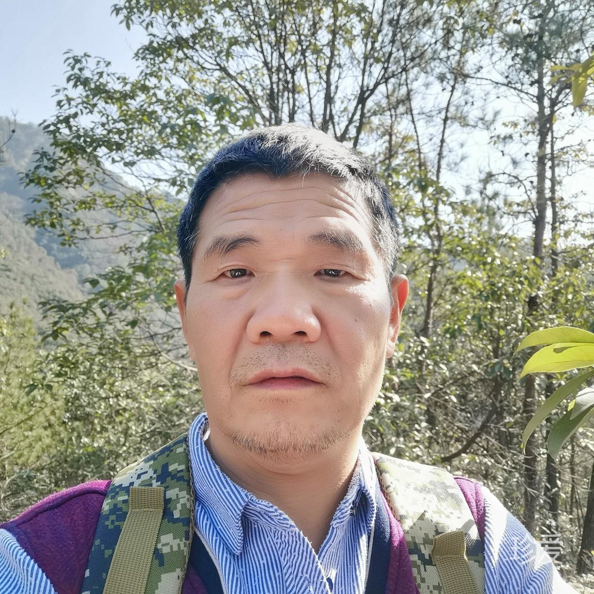 冬羊