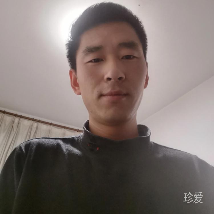 曾想为你填山海