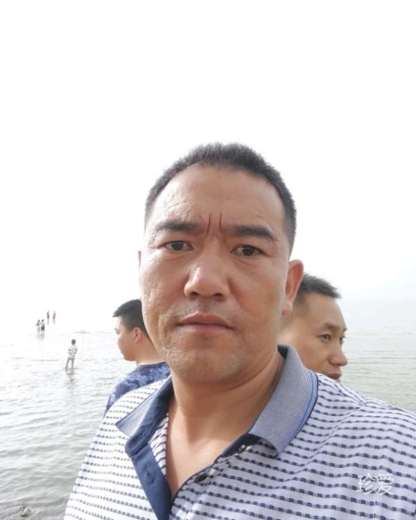 白杨