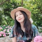 風(fēng)中的陽(yáng)光