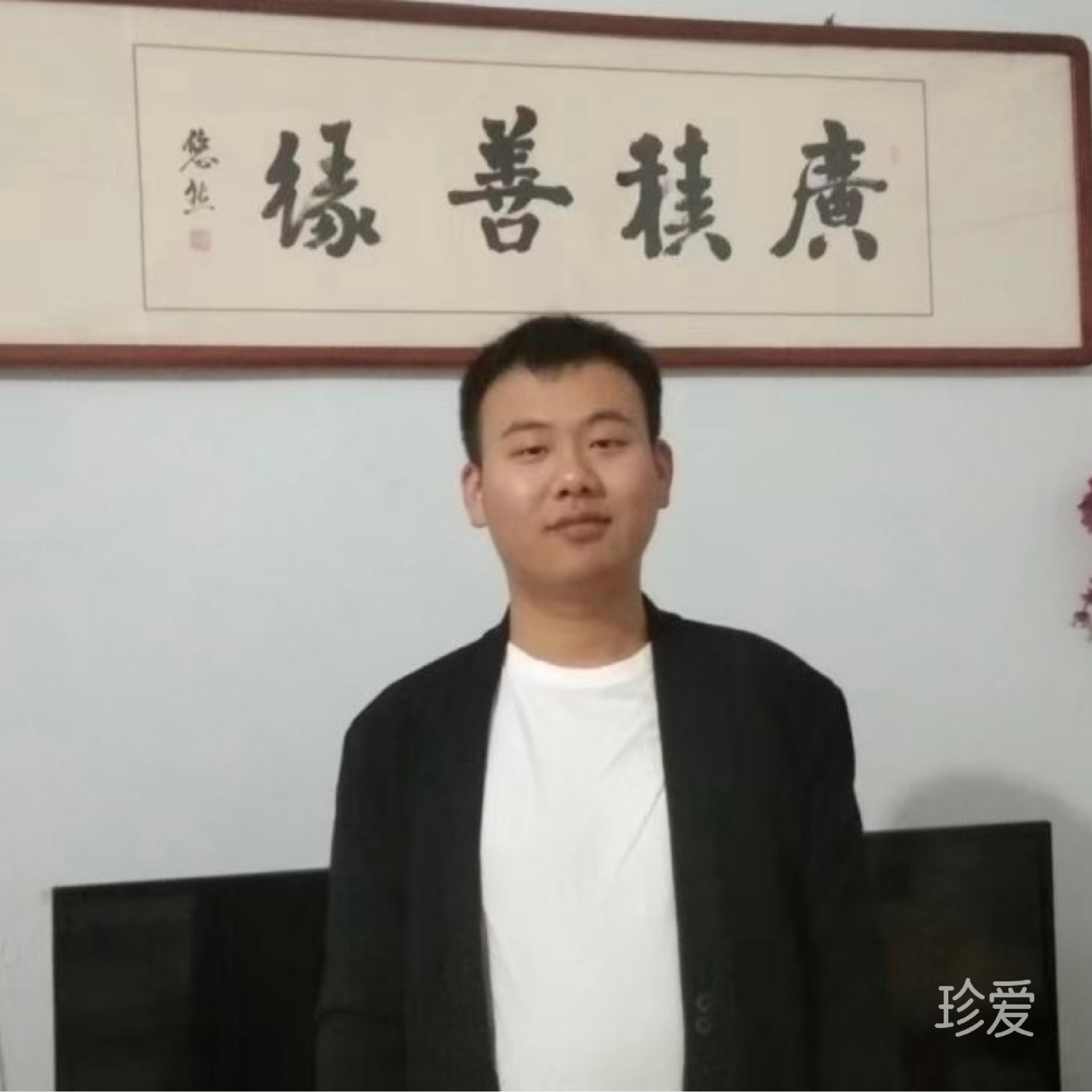 梧桐