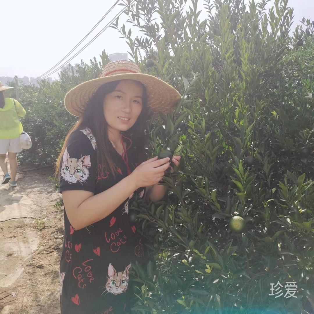 快乐招财猫