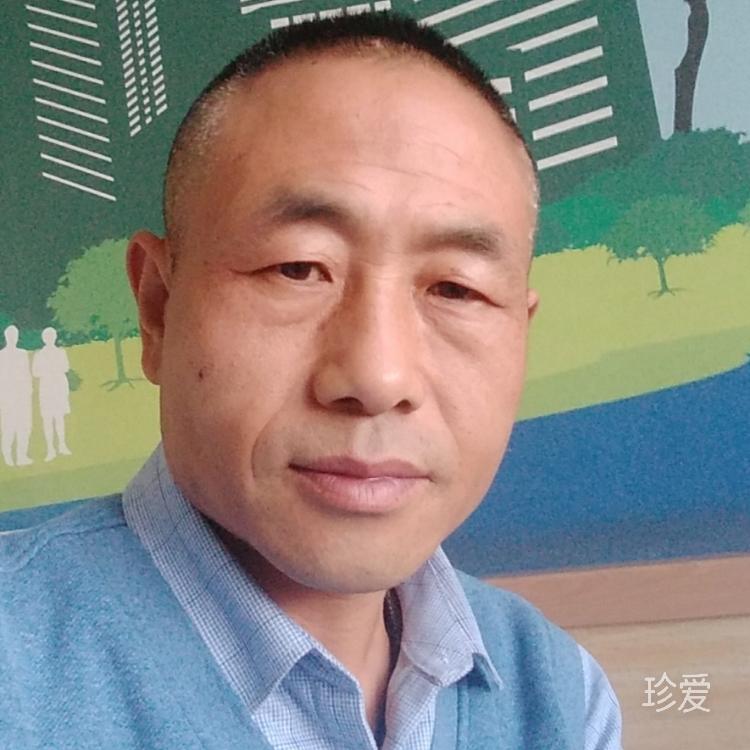 找个天使来爱我