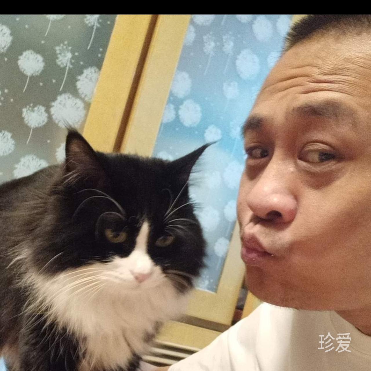 宇哥