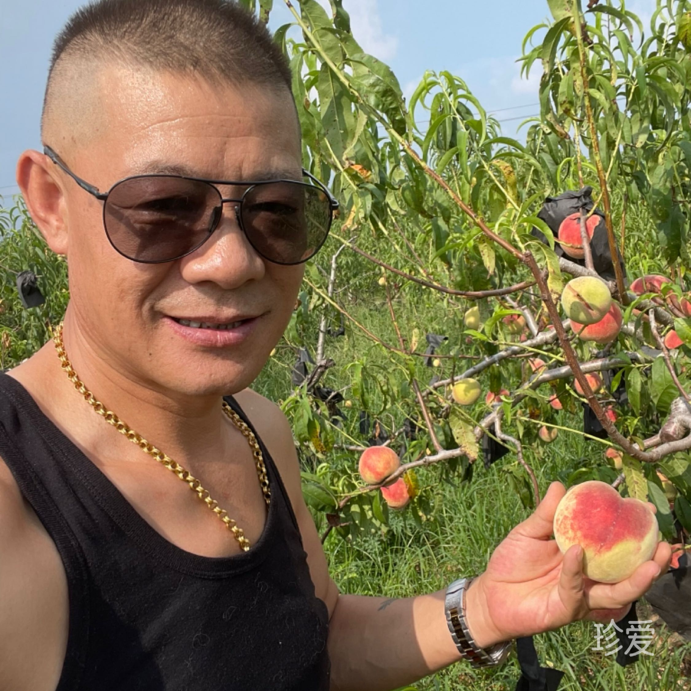 霸道男人