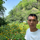 早晚栽在你手里
