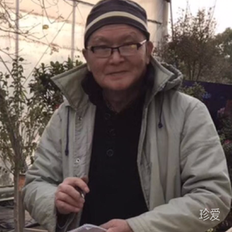 合心哥