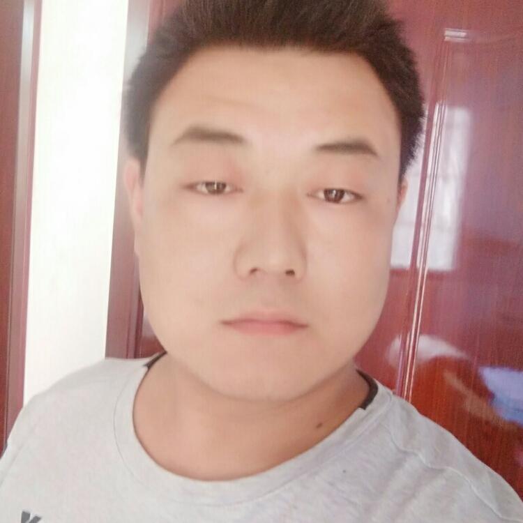 荒漠中的一片叶