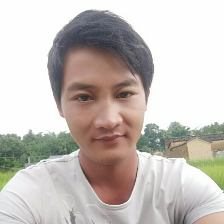 月光下的凤尾竹