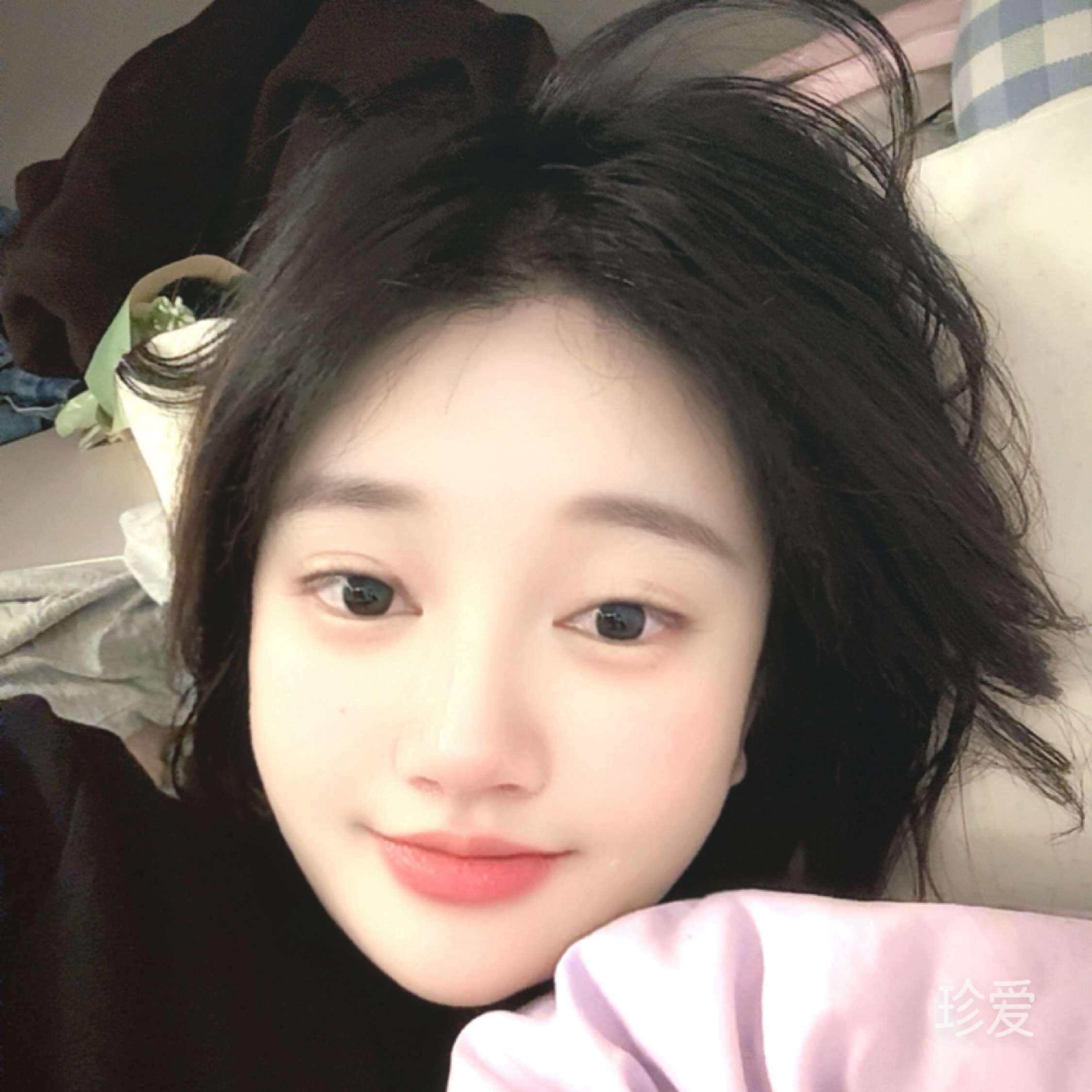 玫瑰兔