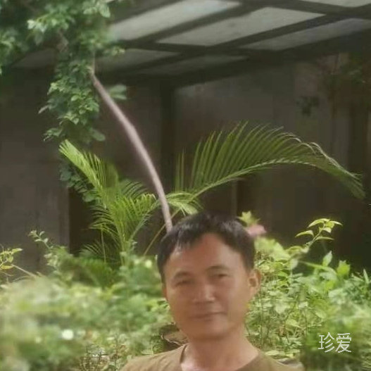 阿龙
