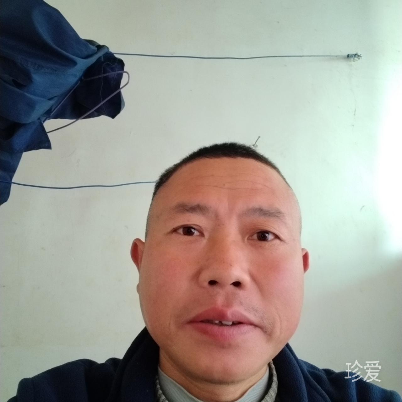 淡然人生