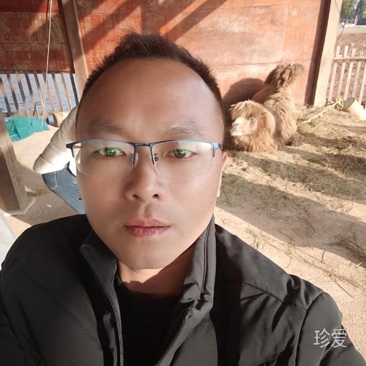 梦里寻她亿万回