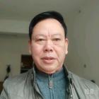 桃樹林