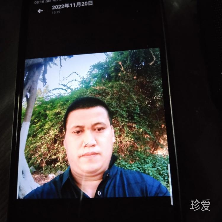 寧波三生向往金花