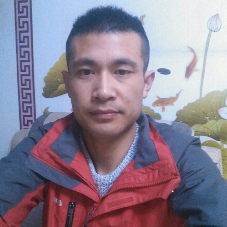 高山流水木成林