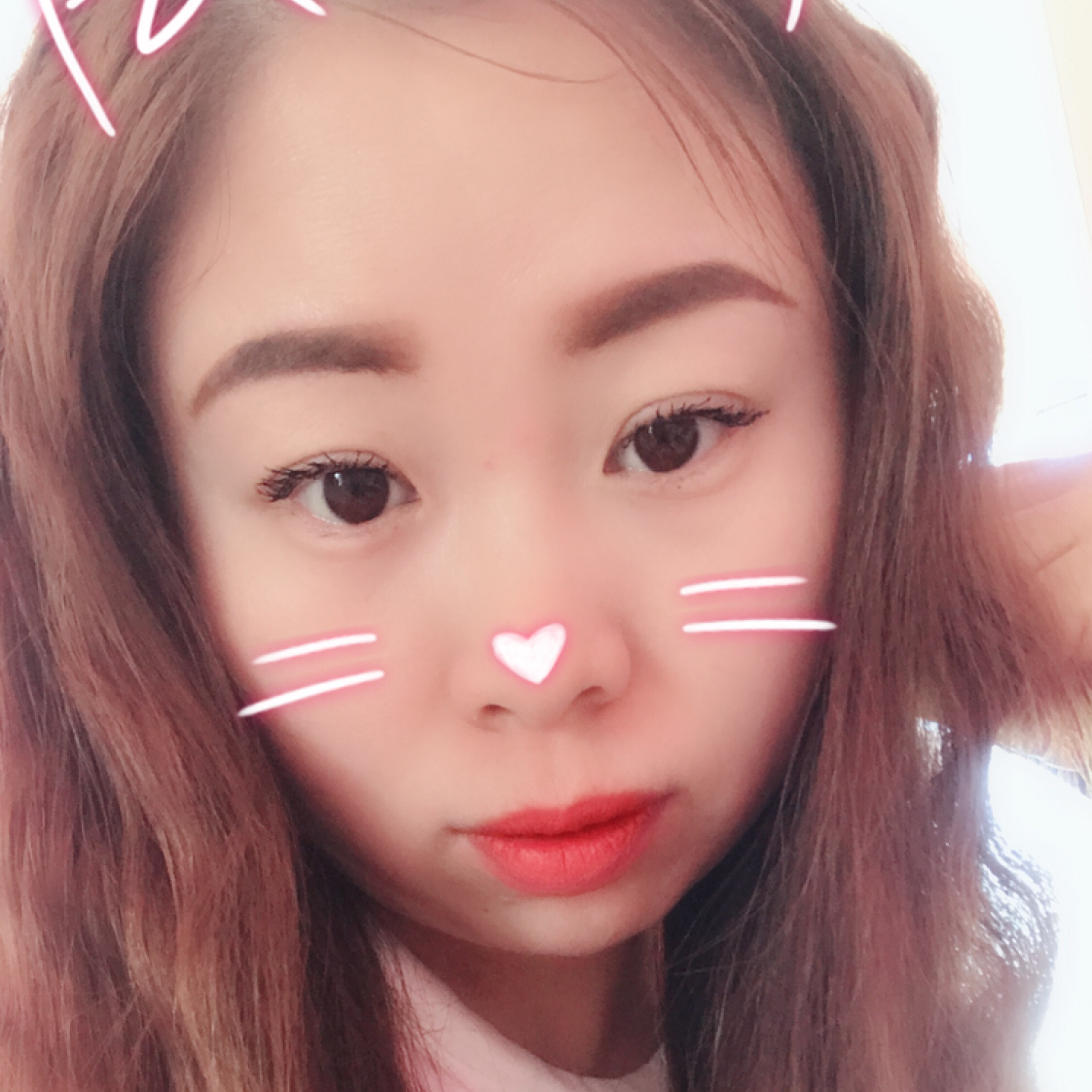 孤单北半球