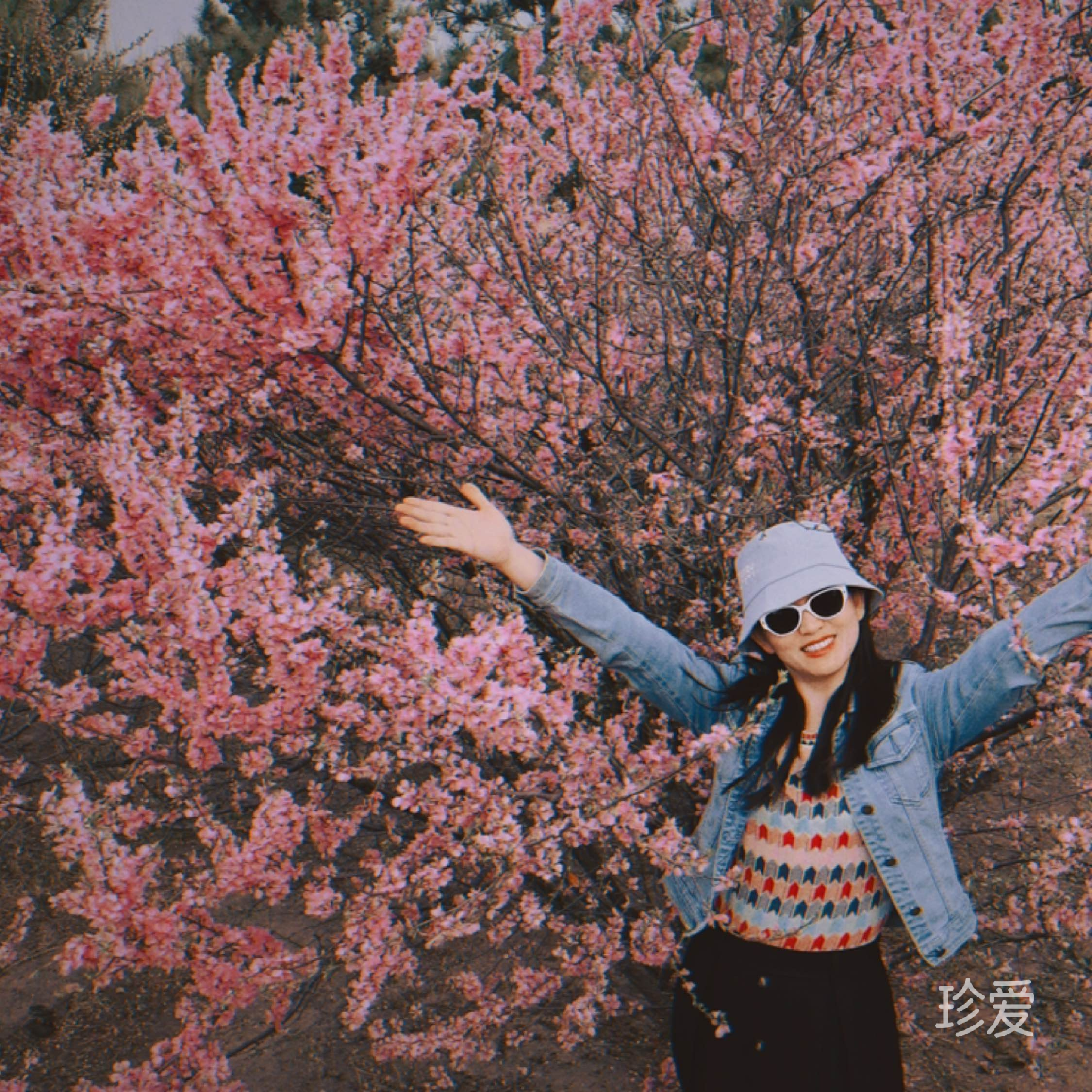 TOP晓晓