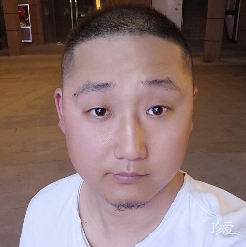 林间的风