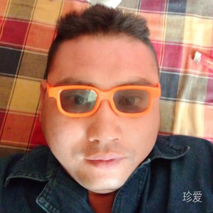 心若联通为何移动
