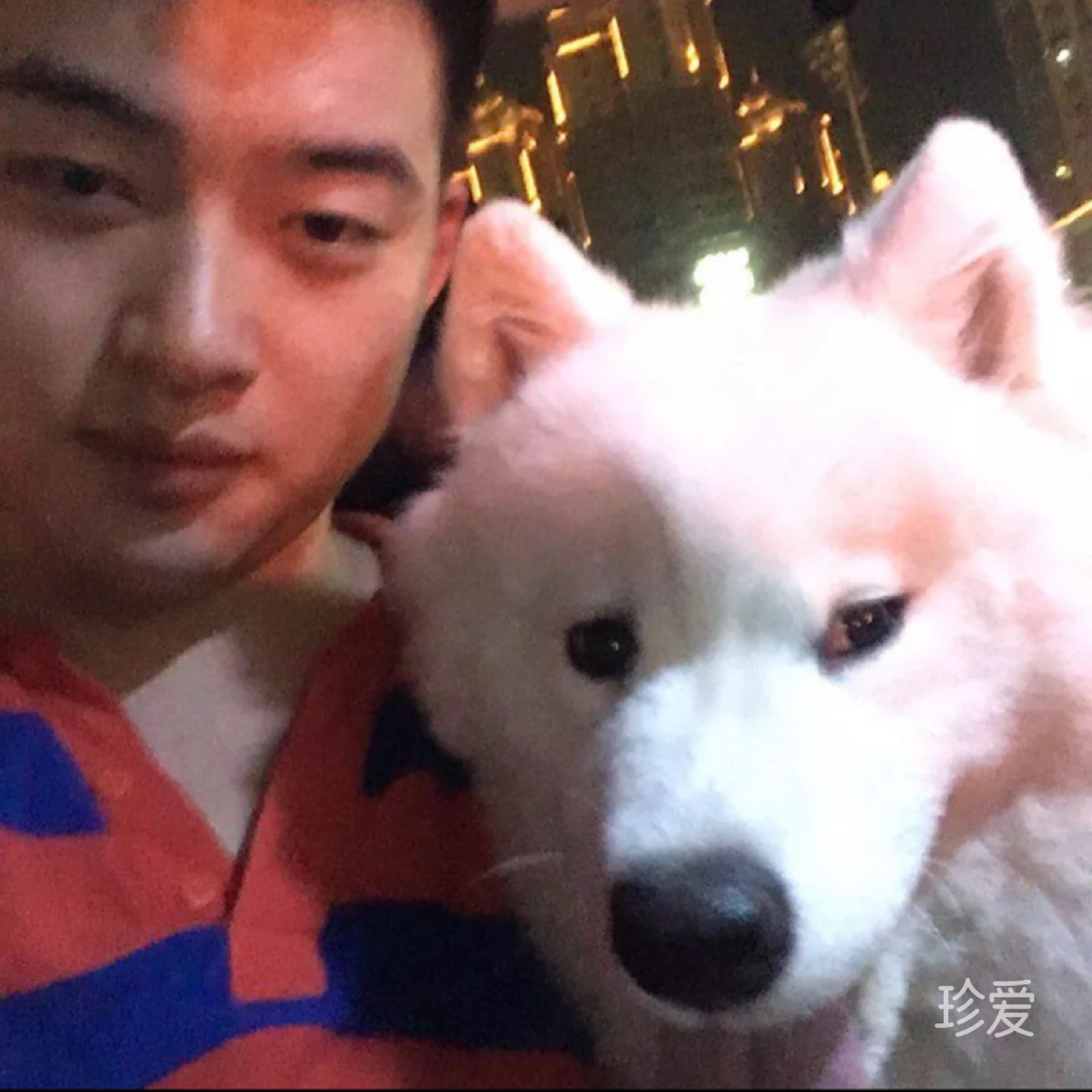 愛像遙遠(yuǎn)星河