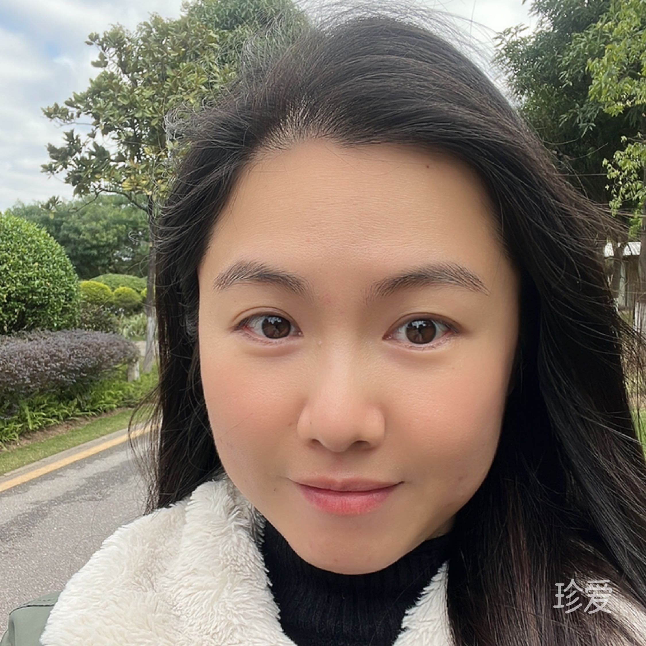 丁叮叮叮叮叮叮