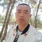 八爪魚