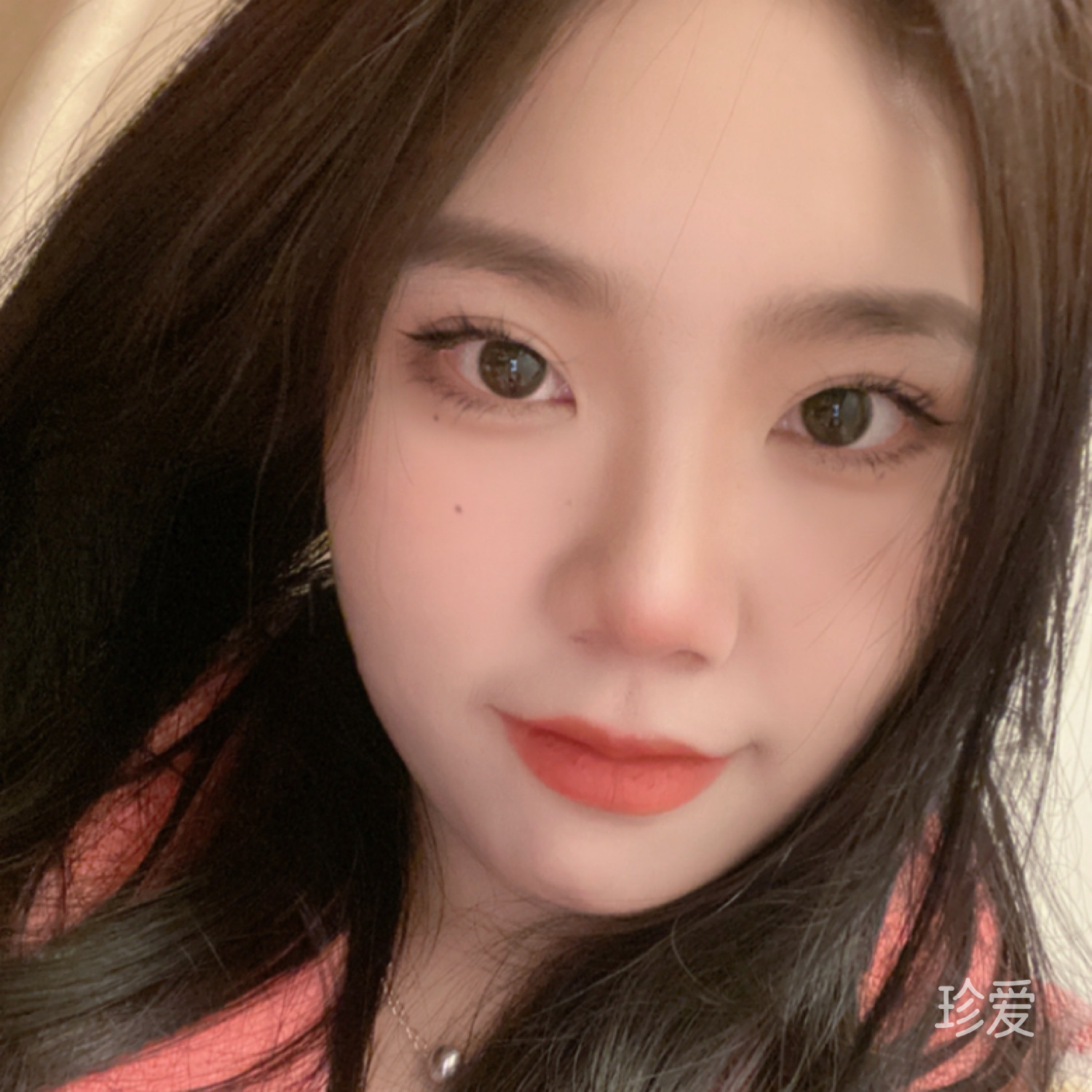 從月亮走向月亮