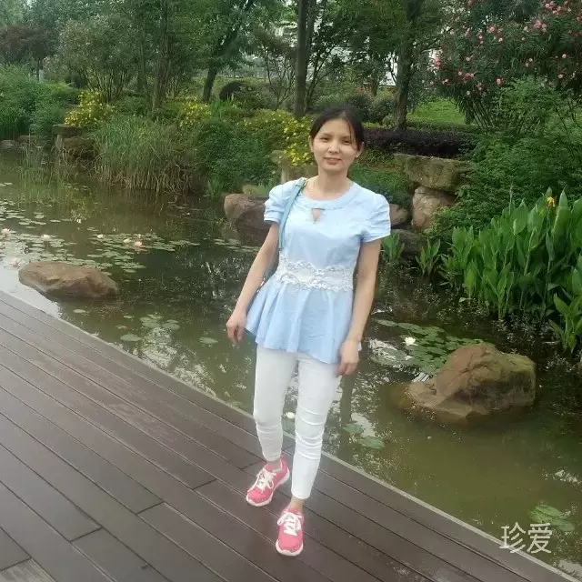 风清蝶影