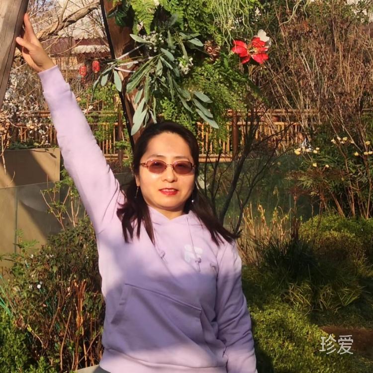 向日葵的模样
