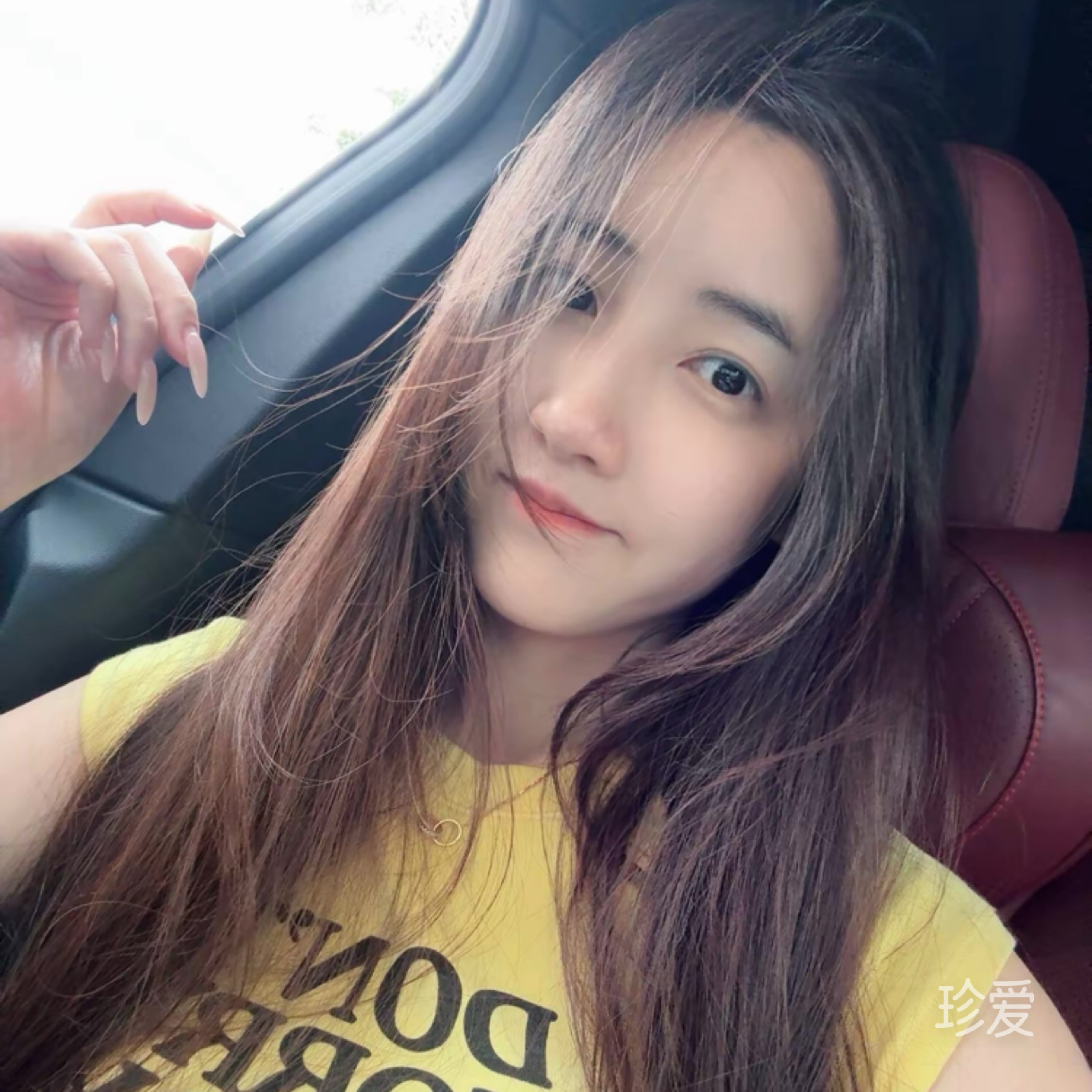 没有脚的鸟
