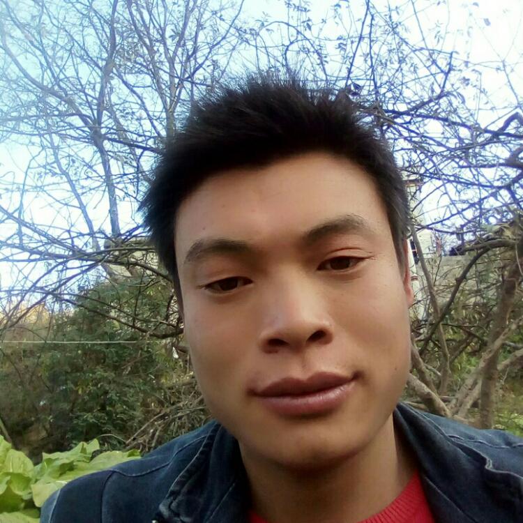 陽光下的小男孩