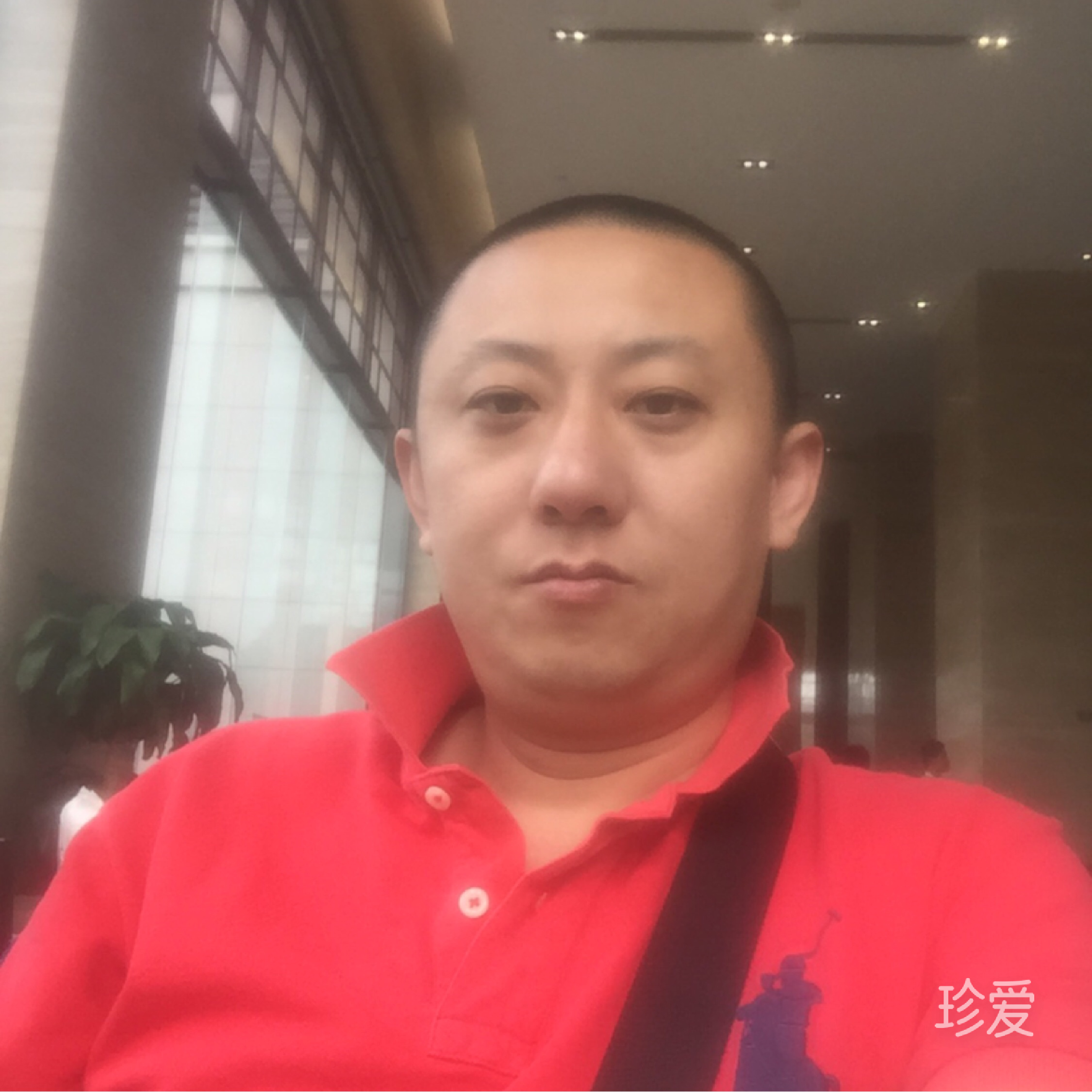 尋找龍年出生的美