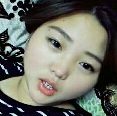 爱猫爱狗爱宠物