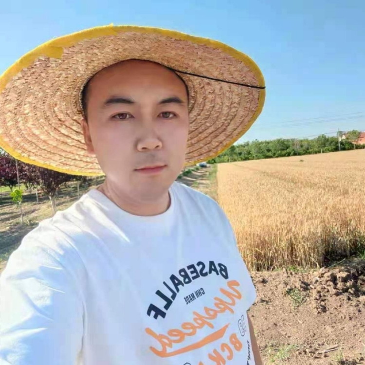 有事做有所期待