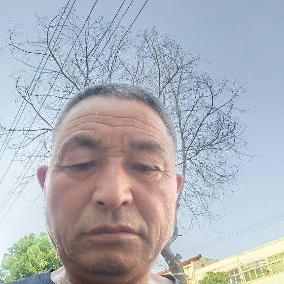 真诚的美
