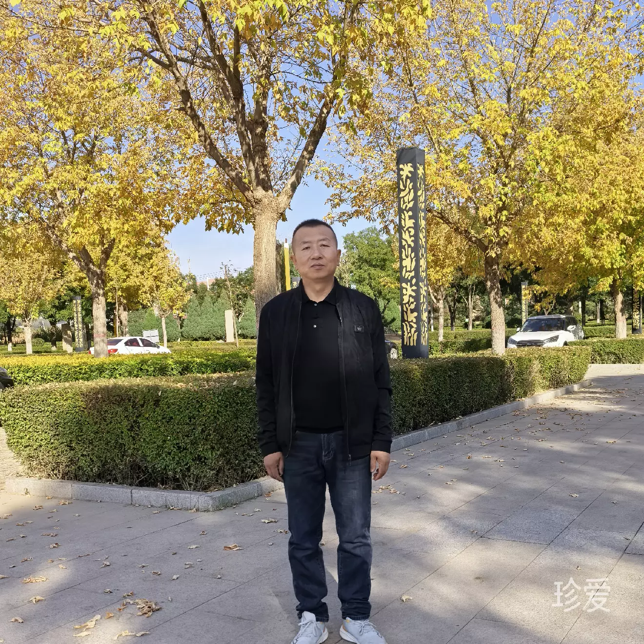 真诚的理由