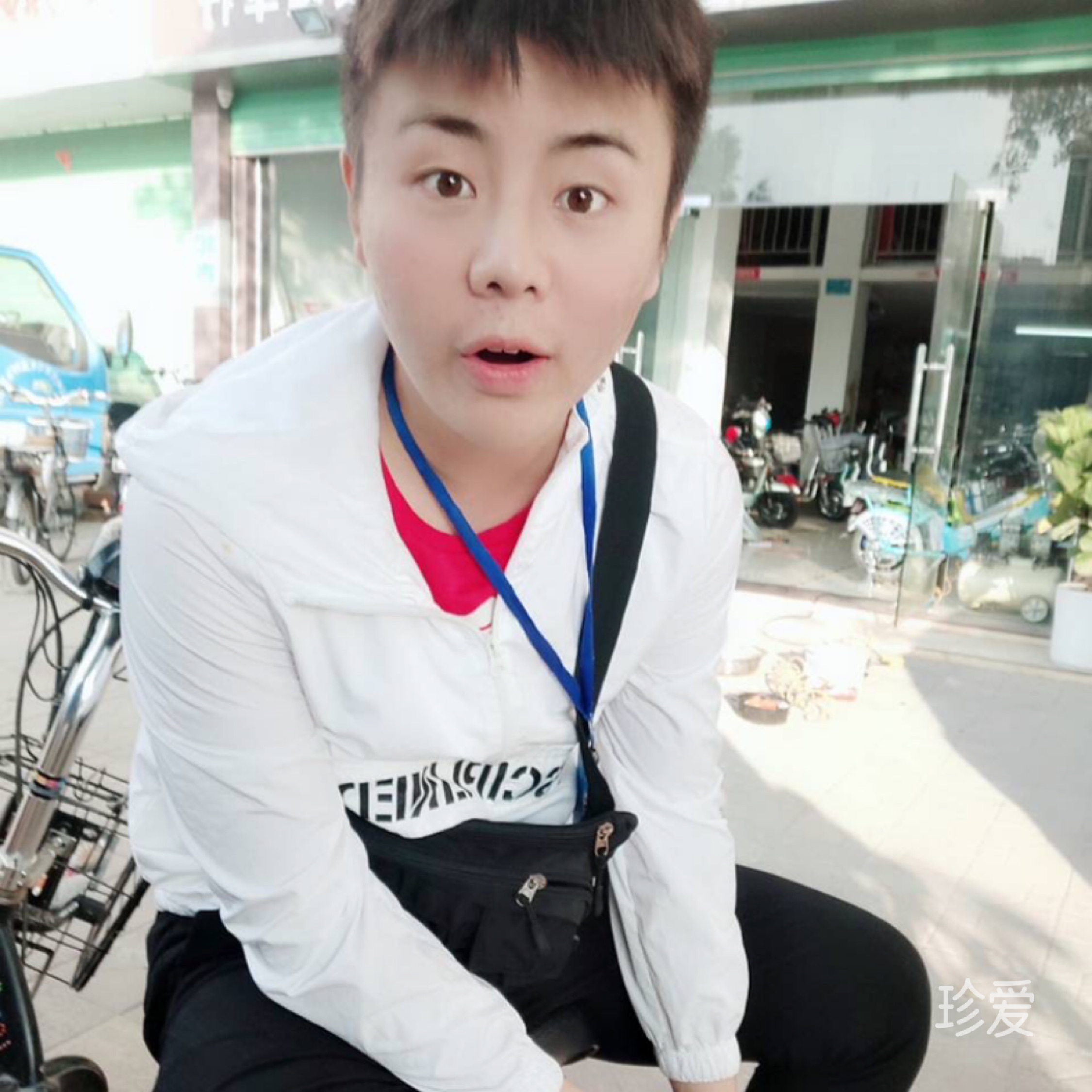 大漠骆驼