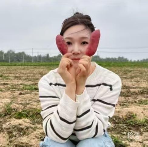 风中承诺