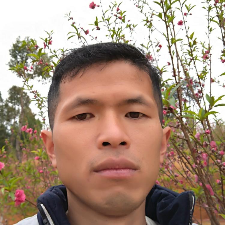 风继续吹