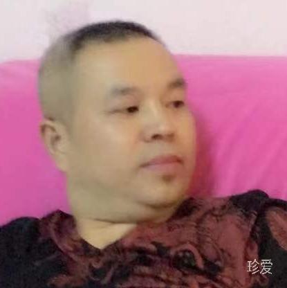 绿树如春