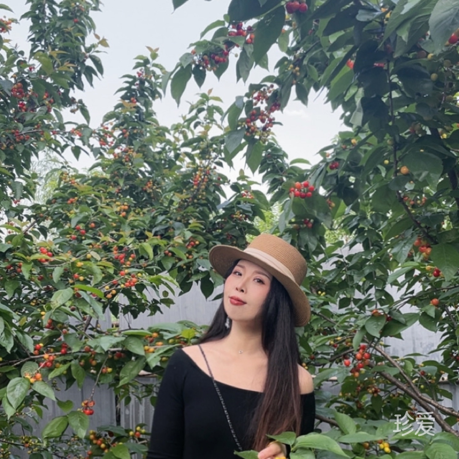 摇曳的青丝