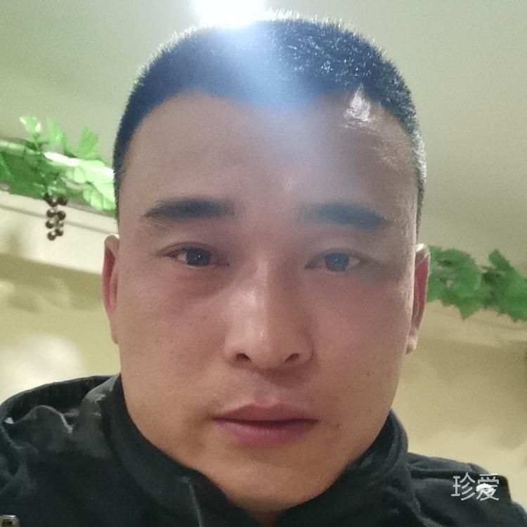 好想好想有个家