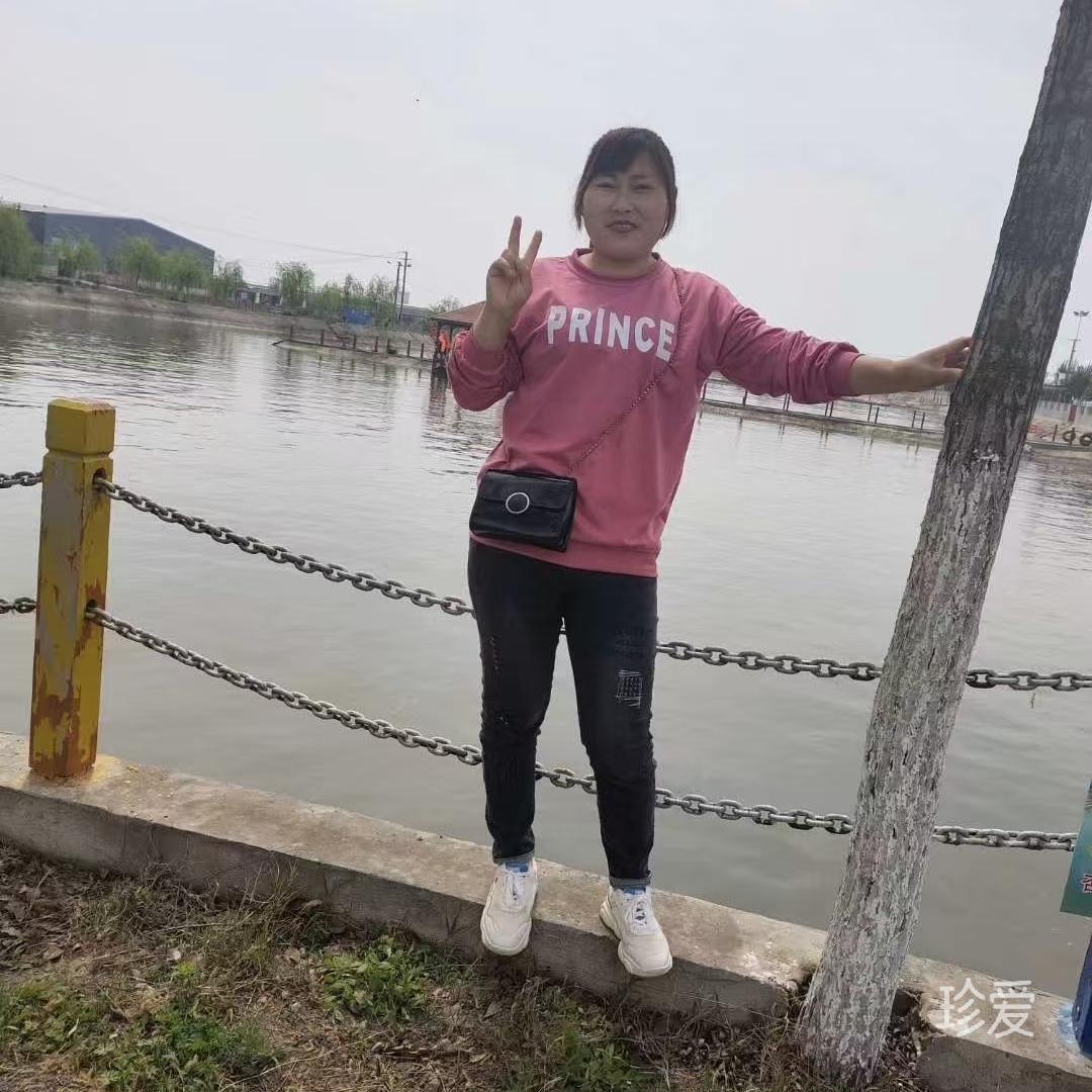 紫色的梦