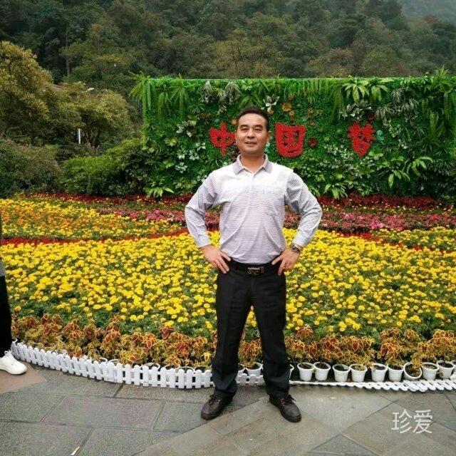 江山不老